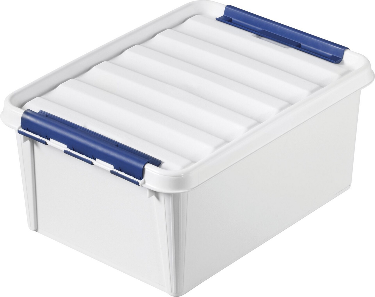 Box "Robust" 31L, 50x39x26cm